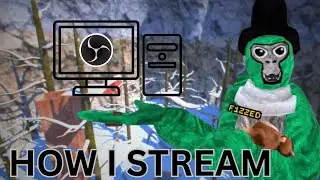 Tutorial on how I stream