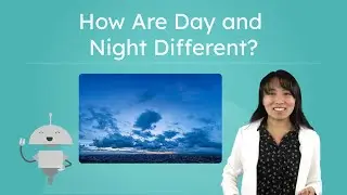 How Are Day and Night Different? - Day vs. Night for Kids