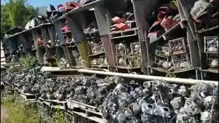 L.A.Nik finds a motorcycle treasure! #motorcycleparts #italianmotorcycles #motorcyclelife