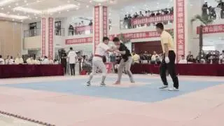DQS 2016 TaiJi Push Hand Competition Part 027