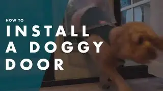 How To Install A Portable Doggy Door - Bunnings Warehouse