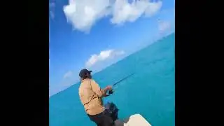 Catching jacks in a Caicos 16 off #elliot #key in #biscaynebay #florida out of #blackpoint #boatramp