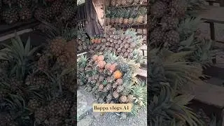 pineapple shop || #shorts #ytshorts #shortvideo #food