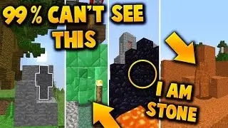 99% CAN'T SEE THIS - Minecraft HYPIXEL SKYWARS TROLLING! (I AM STONE CHALLENGE!)