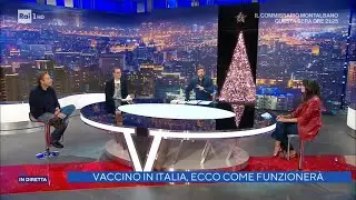 Luca Bianchini, Veronica Gentili e Mario Tozzi - La Vita in Diretta 08/12/2020