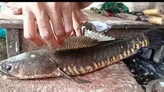 Desi Sola Fish Cutting By Expert Cutter Man | Bangladesh Fish Market