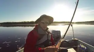 The Giant Jointed Thunderstick 26