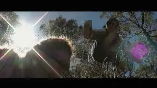 'Ape-Like' Creature (Short Film)
