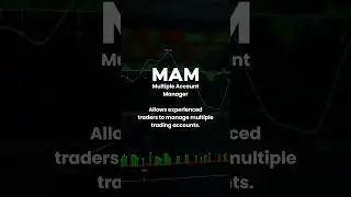 PAMM, MAM, and Copy Trading