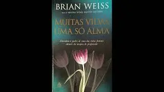 AUDIOBOOK - Muitas Vidas Uma Só Alma - Brian Weiss