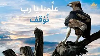 علّمنا يا رب نُوْقَفْ | القس نور شليطا