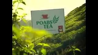 Poabs Tea
