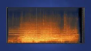 Overtones Timbre and the Harmonic Series Full