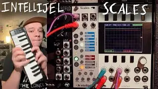 Rambling About: Intellijel Scales with tafony