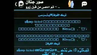 palringo hacker  دعس رومات برلنقو