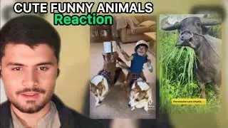 🐶 Cute Animals Doing Funny Things | Viral Video || reaction ||Sahil Jan