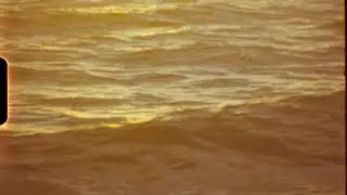 PREVIOUS VERSION - Florida 2019 - 2K 12bit, Custom Scanner - Super8 Vision3 50D Color Negative
