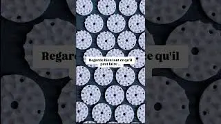 Le tapis Champ de Fleur #menopause #conseils #relaxation #stress