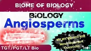 Angiosperms | Previous Year Questions with Explanation | LT Grade | TGT | PGT Biology