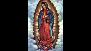 Our Lady of Guadalupe - School Mass in English