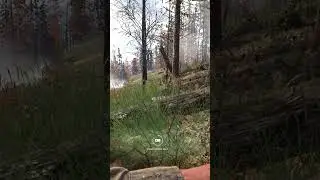 Hell Let Loose - unexpected headshot