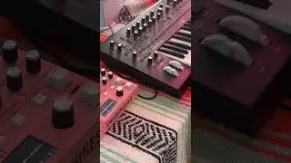 Настоящее зло: гранулярный синтезатор Endorphin.es Evil Pet