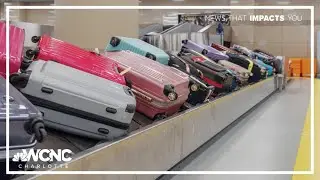 Where does lost luggage go?