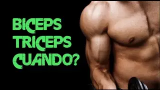 Bíceps, tríceps ¿Cuándo es mejor?