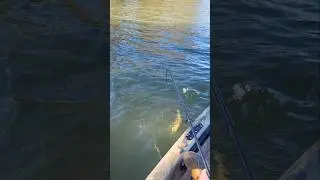 Рыбалка на озере Ланиер в декабре на озере Крэнкинг Рок.