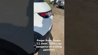Ranger Rover Evoque , 2.2 (150 лс), где находится vin и номер двигателя #evoque #rangerover #vin