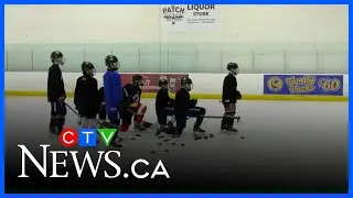 Expanded Hockey Academy to put Sask. students on the ice this fall