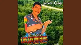 Lágrimas Deramó