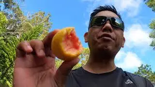 Mokuleia Trail Hike, Oahu Hawaii  [4K]