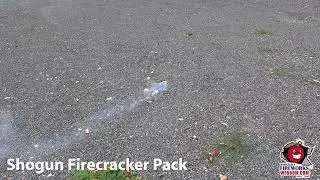 Shogun Half Brick &ndash; 01005 &ndash; Shogun - Firecracker Case - Wholesale Fireworks - WFBOOM.COM
