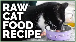 How I Make Organic Raw Cat Food