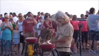 Crazy Cat Man of Key West Mallory Square Sunset Celebration 04-01-13