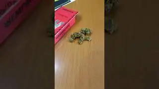Unboxing Strawberry CBD 1gr - Hempmotive