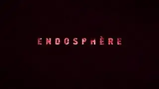 ENDOSPHERE | VOSTFR