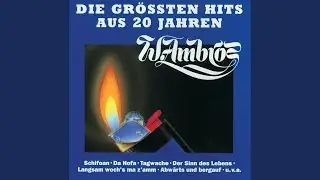 Baba & foi ned (Live vom Rock On The Rocks, Kitzsteinhorn / 1985)
