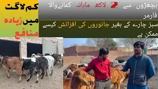 Kam time ma zaida benefit wala business|| bachda farm se lachko kamany wala famer||