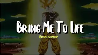 Evanescence - Bring Me To Life (lyrics )