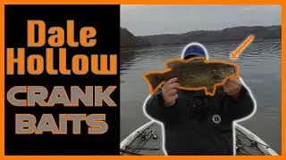 Early Winter Crank Baits | Dale Hollow Lake Fishing