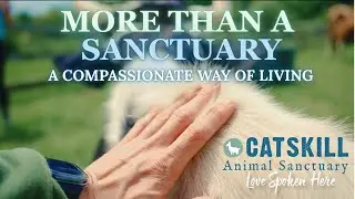 Catskill Animal Sanctuary: More Than a Sanctuary, A Compassionate Way of Living