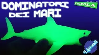 SBABAM - DOMINATORI DEI MARI - UN SALTO IN EDICOLA 2019