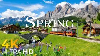 Spring in the Swiss Alps 4K &bull; Blooming Valleys & Fresh Mountain Air | Nature Relaxation Film