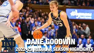 Dane Goodwin 2022-23 Regular Season Highlights | Notre Dame Guard