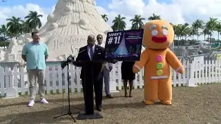 West Palm's Sandi the Holiday Tree voted 'Best Public Holiday Light Display'