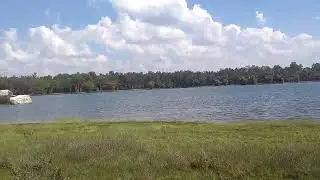 Beautiful View of Bhadra Wildlife Sanctuary Chikkamagaluru Tarikere Lakkavalli Karnataka #Shorts