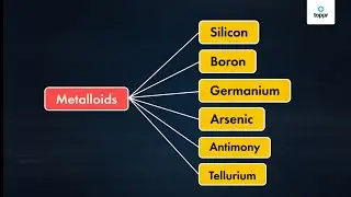 Metalloid Group Elements