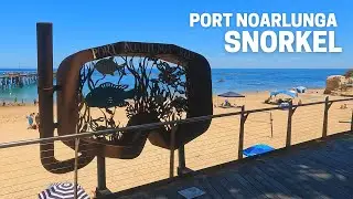 Exploring the stunning Port Noarlunga Reef - Snorkeling Adventure in South Australia